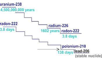В результате реакций распада ядер урана-238 образуется радон-222 — благородный газ без цвета, запаха и вкуса, не вступающий ни в какие химические реакции, поскольку он не способен образовывать химические связи.